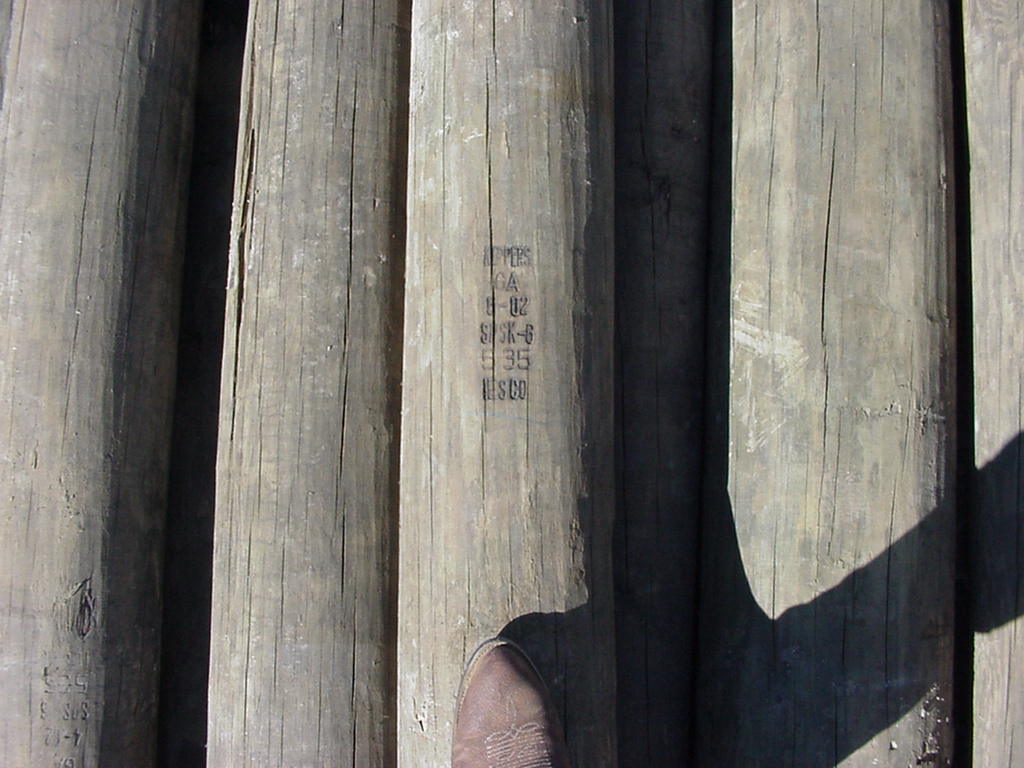 Costa Rica Project Photo